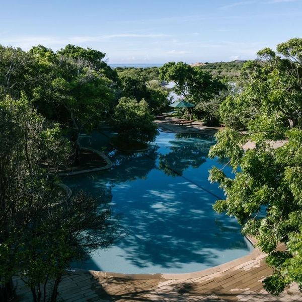 Cinnamon Wild Yala – 2026-06-15 - Zdjęcie 2