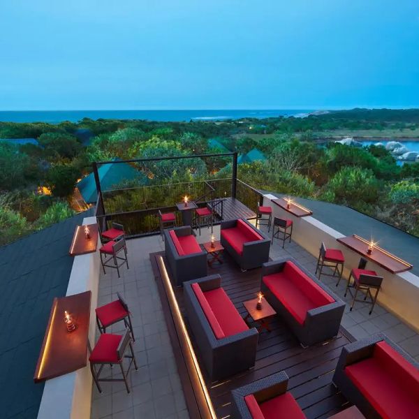Cinnamon Wild Yala – 2026-06-21 - Zdjęcie 2