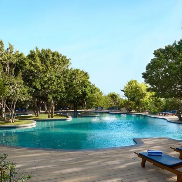 Cinnamon Wild Yala – 2026-06-21 - Zdjęcie 3