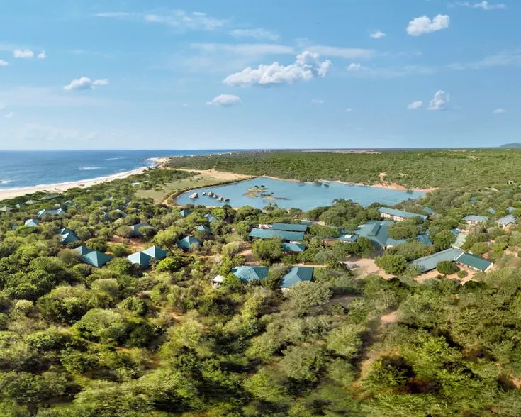 Cinnamon Wild Yala