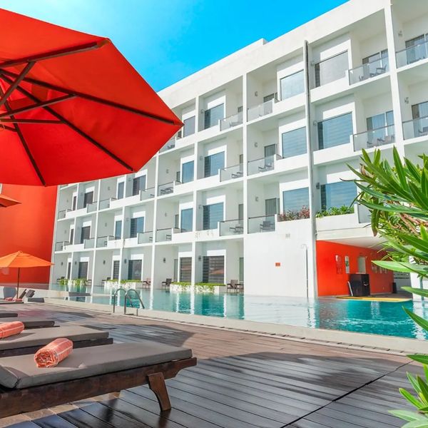 Citrus Waskaduwa – 2026-06-14 - Zdjęcie 3