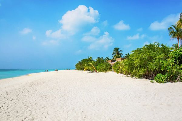 Cocoon Maldives