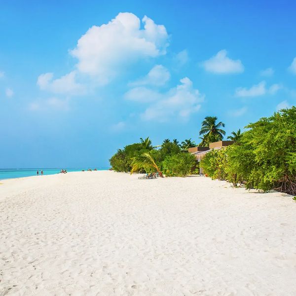 Cocoon Maldives – 2026-06-17 - Zdjęcie 3