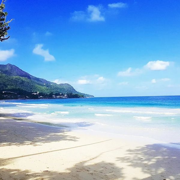 Coral Strand – 2026-09-22 - Zdjęcie 2