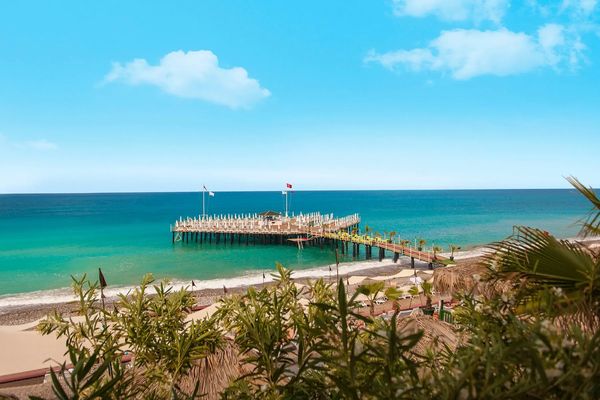 Delphin Botanik Platinum