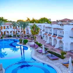 Dive Inn Resort