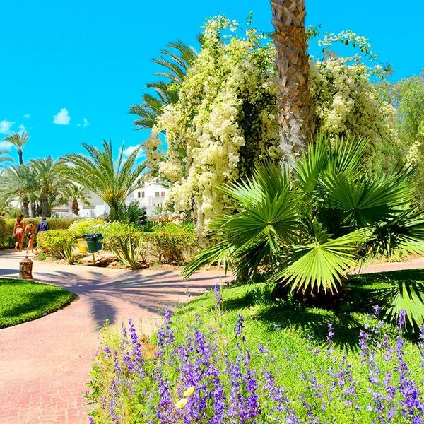 Djerba Resort (ex. Vincci) - zdjęcie 3