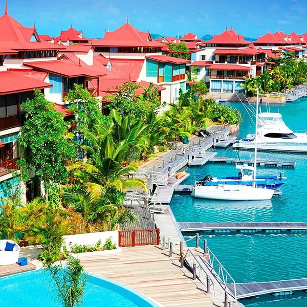 Eden Bleu – 2026-03-22 - Zdjęcie 2