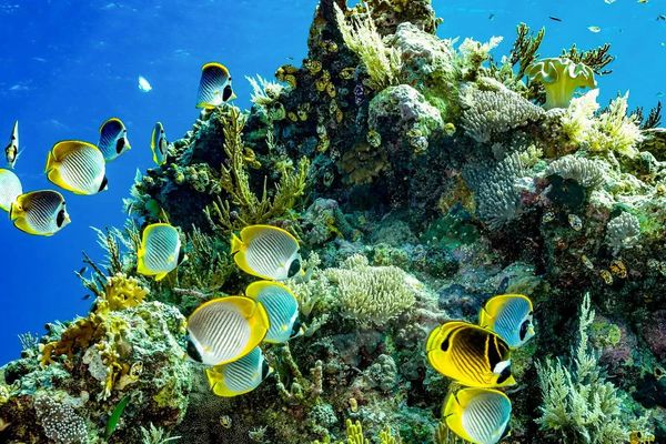 Egipt - Hurghada Holiday Tour