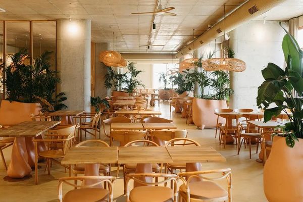 Epidamn White Sensation