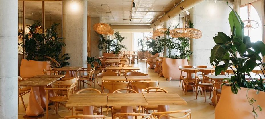 Epidamn White Sensation