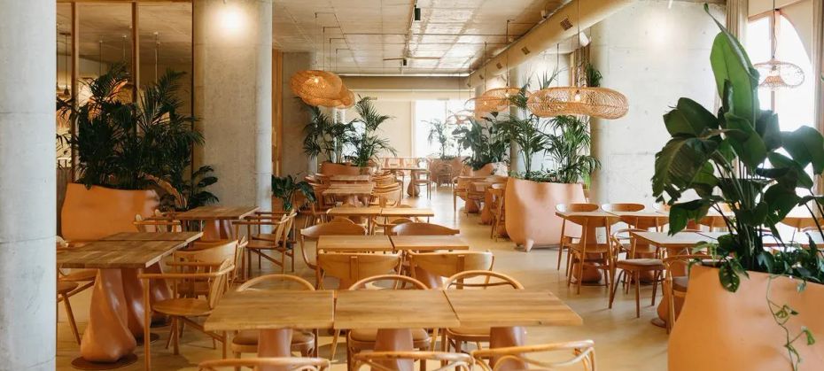 Epidamn White Sensation