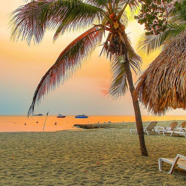 Estelar Santamar – 2026-03-01 - Zdjęcie 2