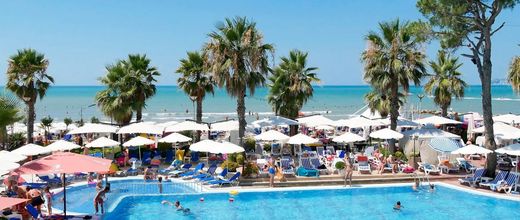 Fafa Premium (Ex. Meli)