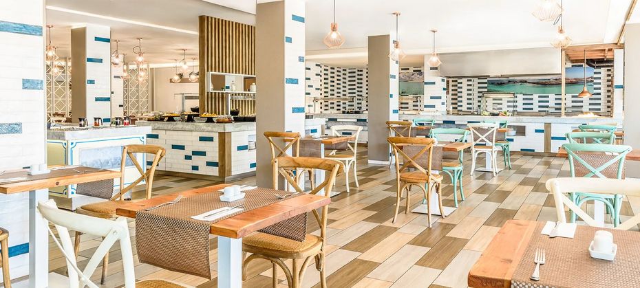 Fergus Cactus Garden (ex. Lemon & Soul Cactus Garden)