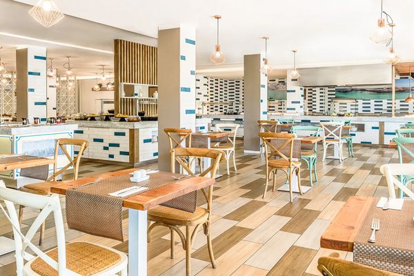 Fergus Cactus Garden (ex. Lemon & Soul Cactus Garden)