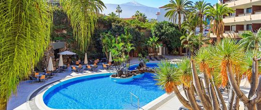 Fergus Puerto de la Cruz (ex. Smy Puerto de la Cruz)