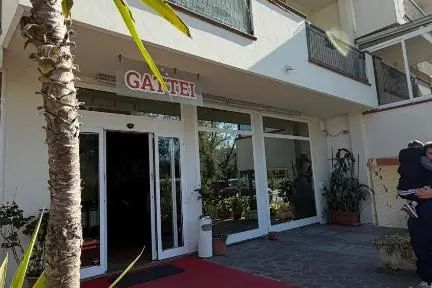 Gattei