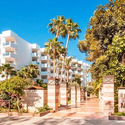 Globales Maioris ex Ola Club Maioris