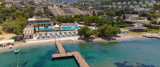 Golden Age (Yalikavak)