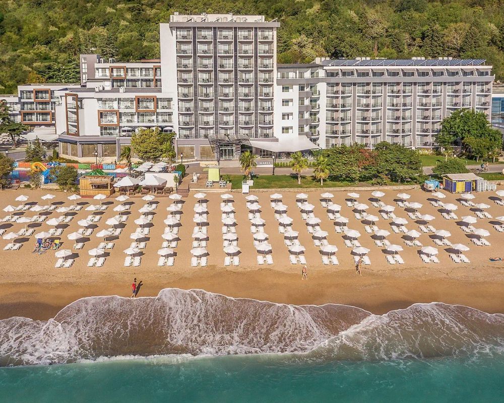 Sentido Marea/Grifid Mare