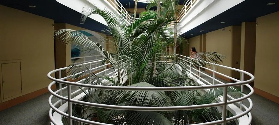 IFA Altamarena