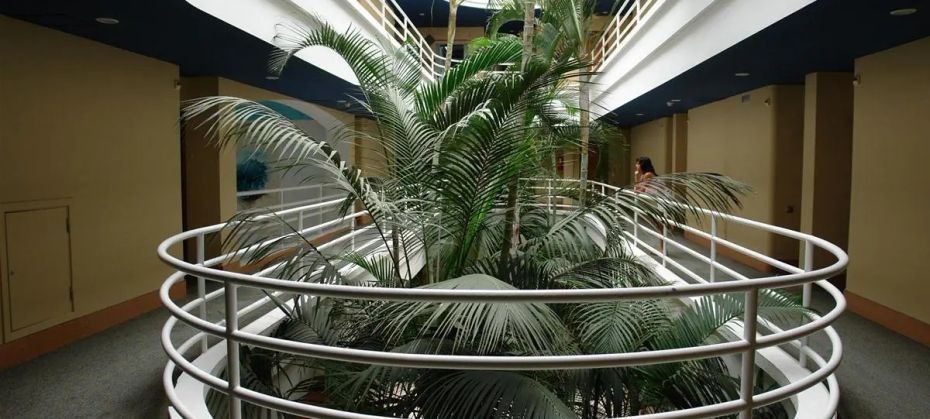 IFA Altamarena
