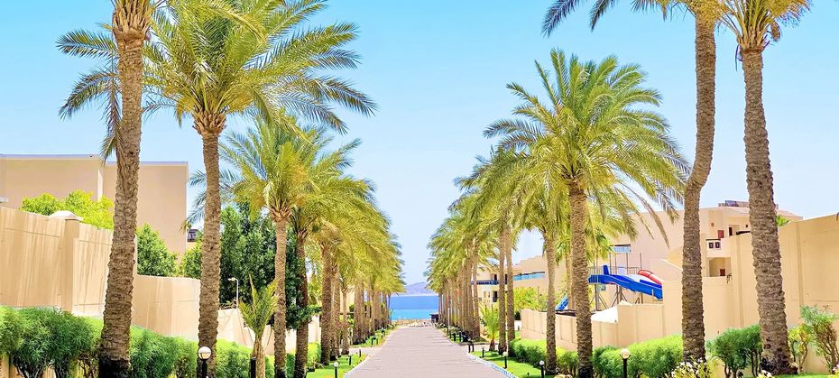 Ivy Cyrene Island (ex Crystal Cyrene)