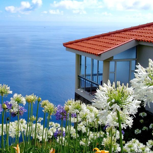 Jardim Atlantico - zdjęcie 2