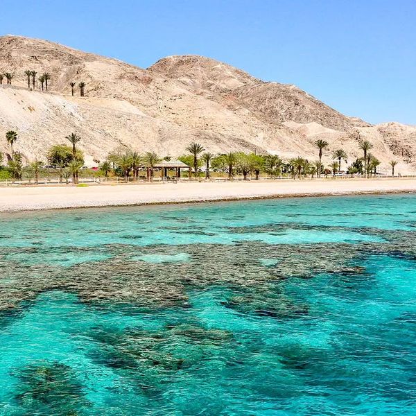 Zamki w piasku – 2025-12-09 - Zdjęcie 2