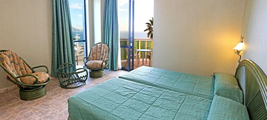 Kaktus Albir