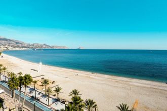 Kaktus Albir