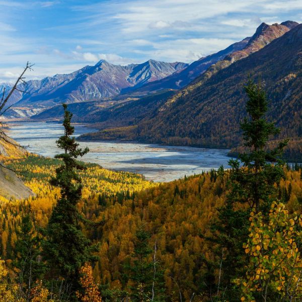 Kanada i Alaska - Łosie i Łososie
