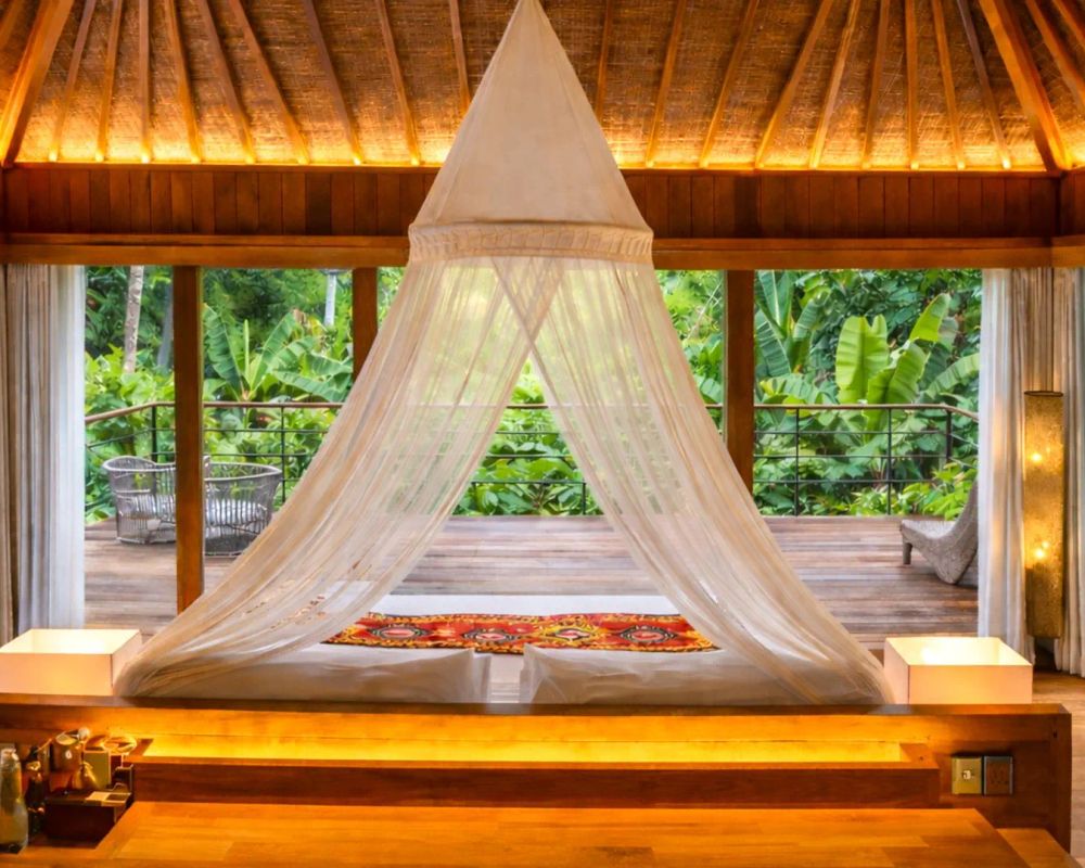 Kappa Senses (Zanzibar)