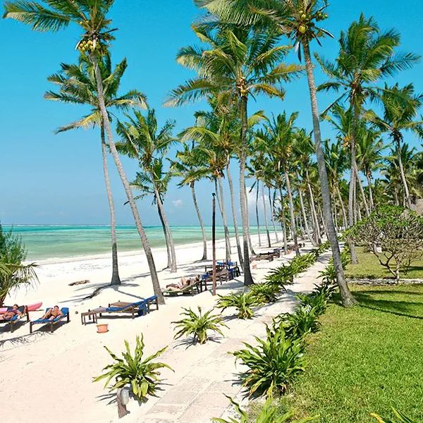 Tanzania Last Minute na 7 dni w marcu: 5⋆ hotel od 4 499 zł