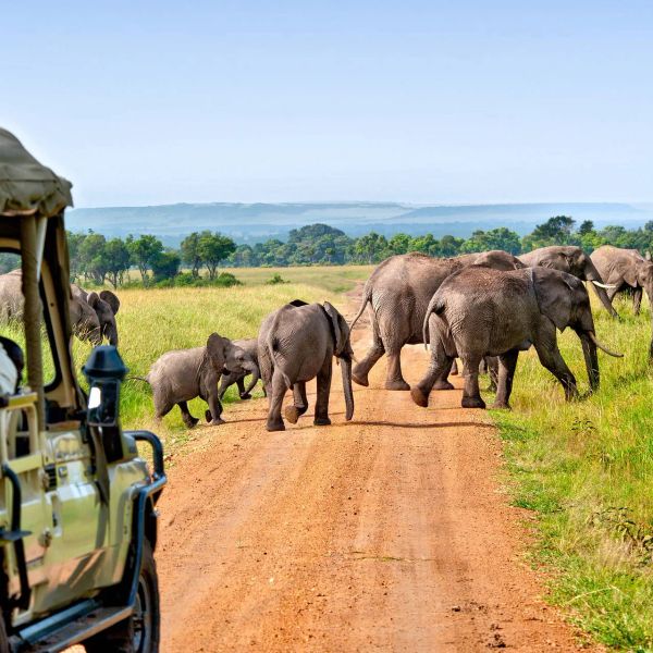 Kenia Classic