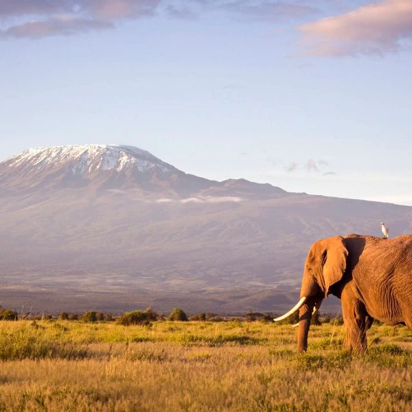 Kenia - Kenia Tanzania