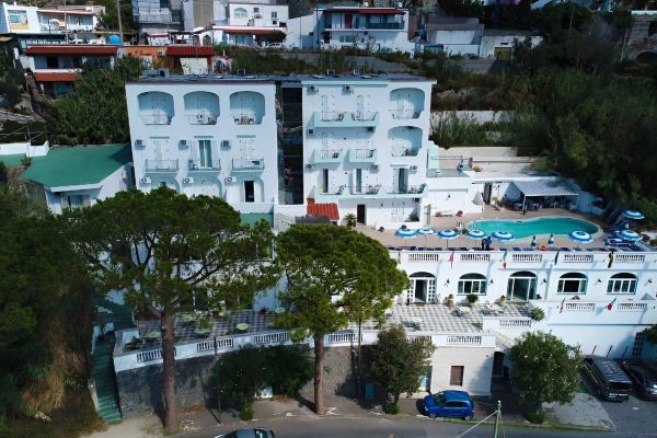 La Ginestra