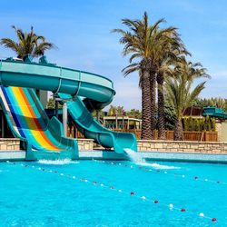 Lara Barut Collection