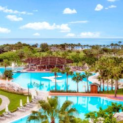 Lara Barut Collection