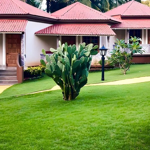 Leoney Resort – 2026-05-11 - Zdjęcie 3