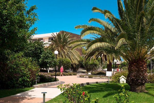 Los Zocos Impressive