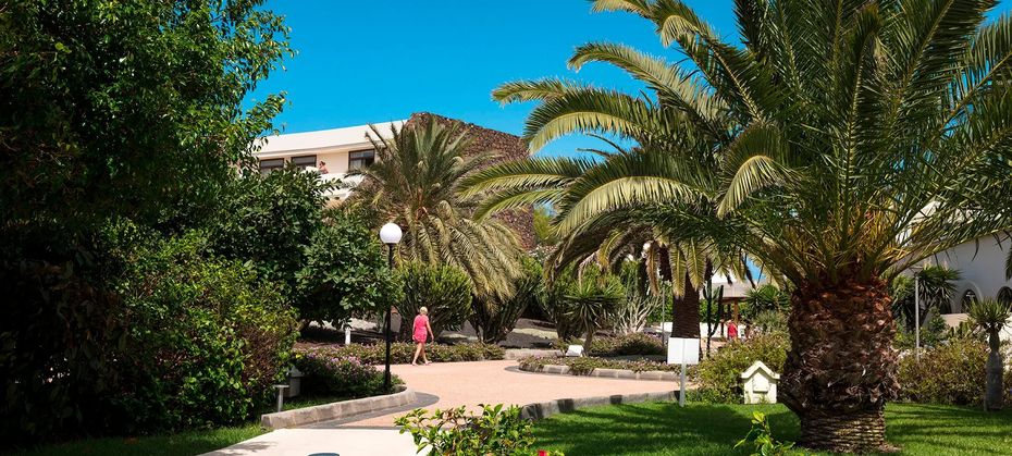 Los Zocos Impressive