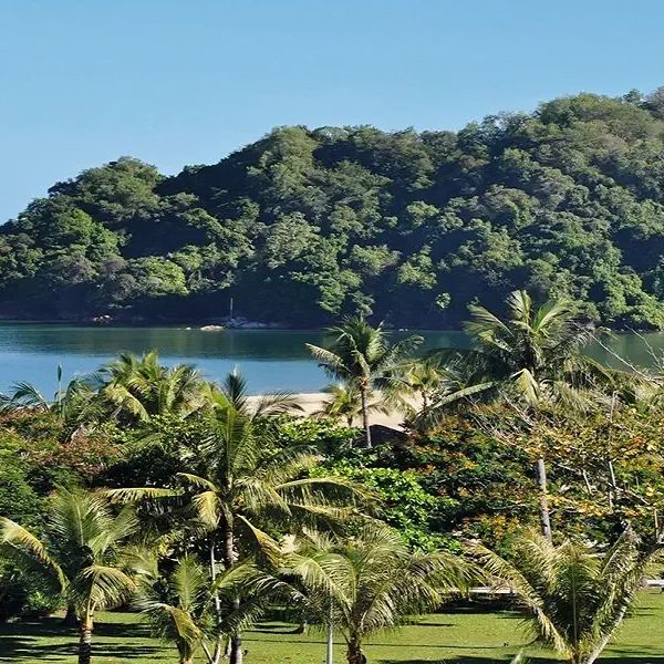 Do serca Borneo
