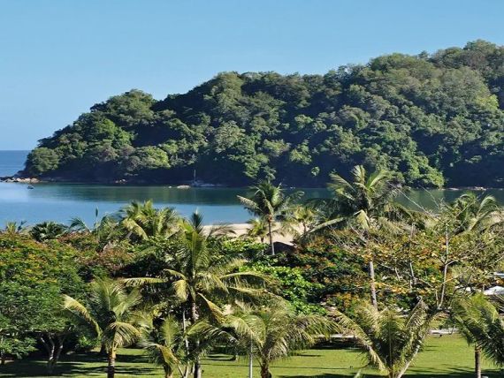 Do serca Borneo