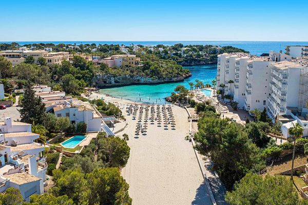 MarSenses Ferrera Blanca Family