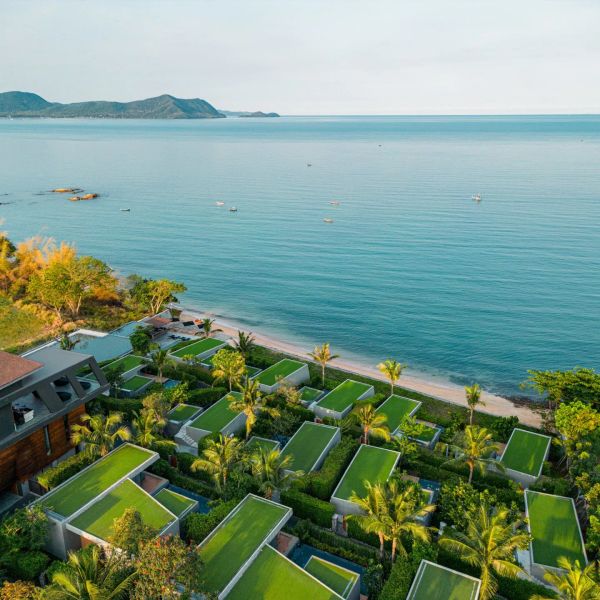 Mason – 2026-11-17 - Zdjęcie 3