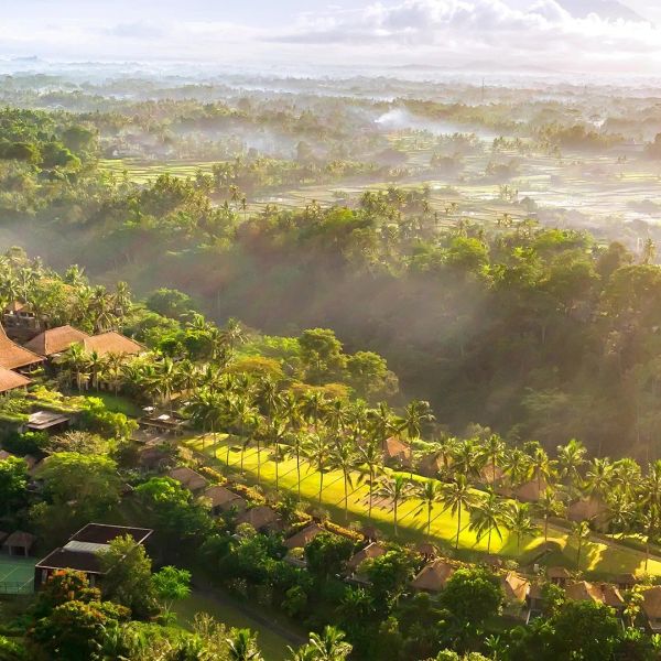 Maya Ubud Resort – 2027-01-14 - Zdjęcie 2