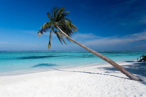 Meeru Island Resort