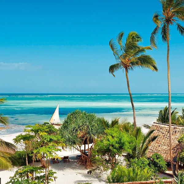 Melia Zanzibar – 2026-08-31 - Zdjęcie 3